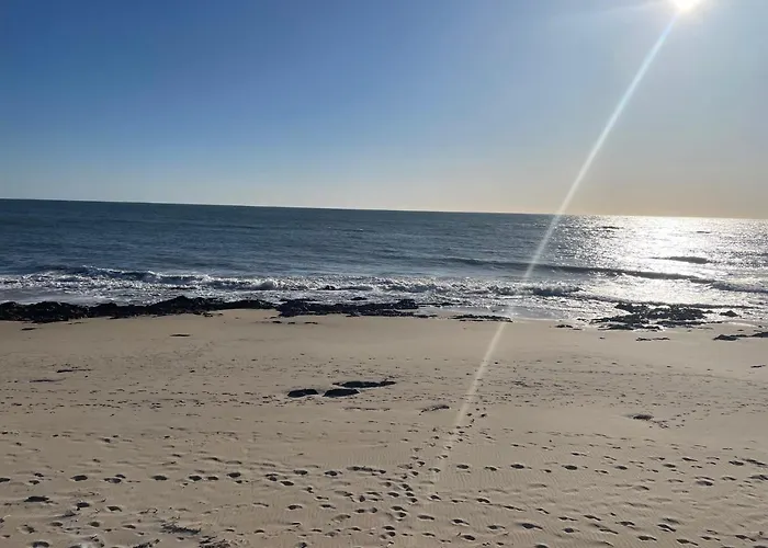 Wonderful House Between The Sea And The Forest Apúlia