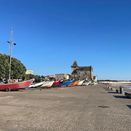Wonderful House Between The Sea And The Forest *