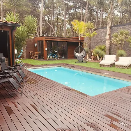 Wonderful House Between The Sea And The Forest