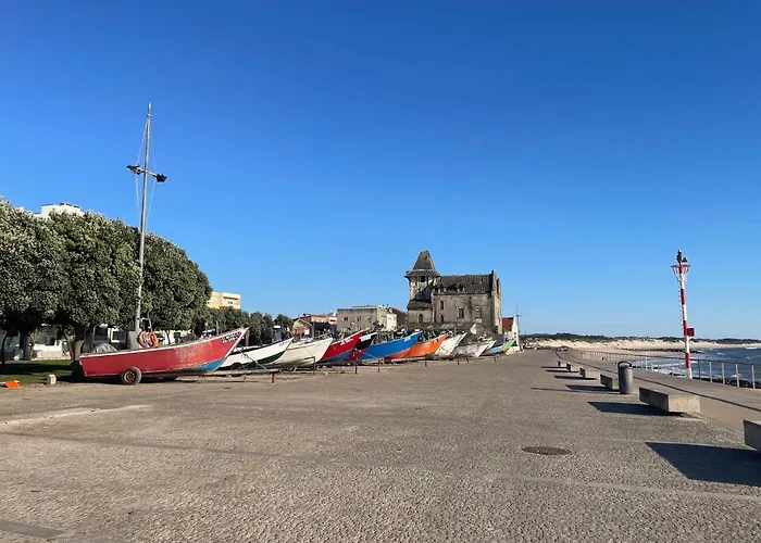 Wonderful House Between The Sea And The Forest *